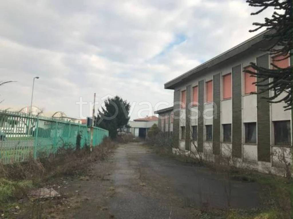 immagine annuncio 11 di 15