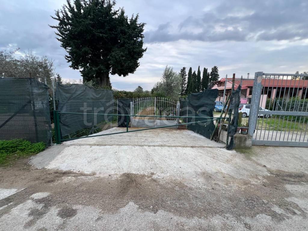 immagine annuncio 5 di 13