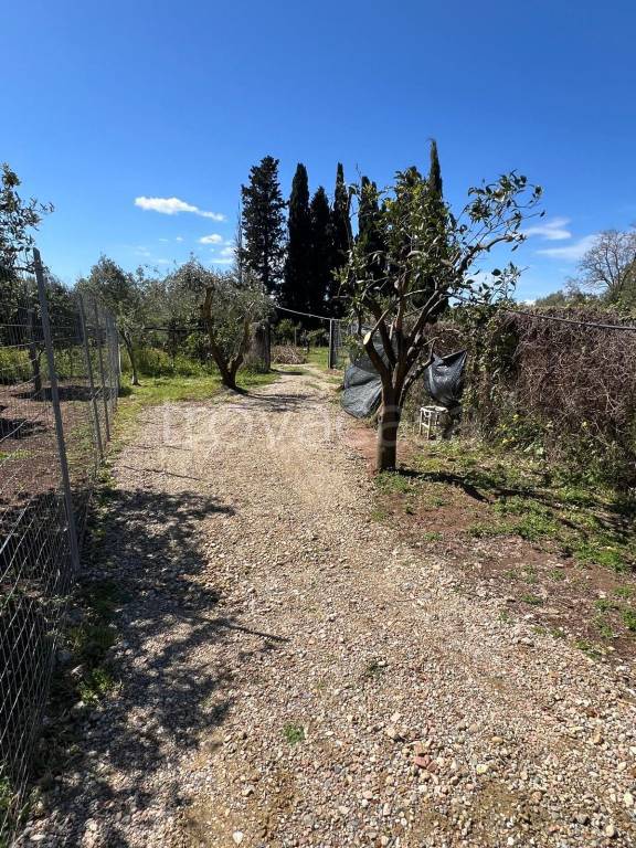 immagine annuncio 7 di 13