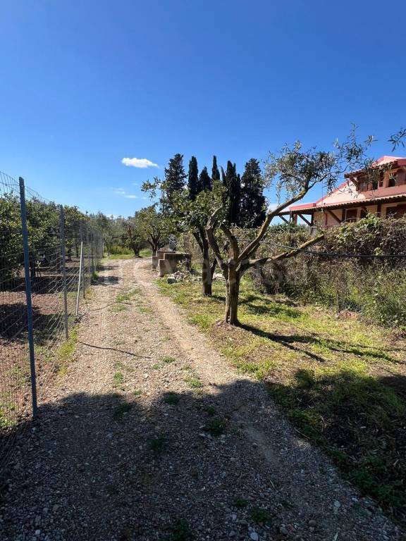 immagine annuncio 8 di 13