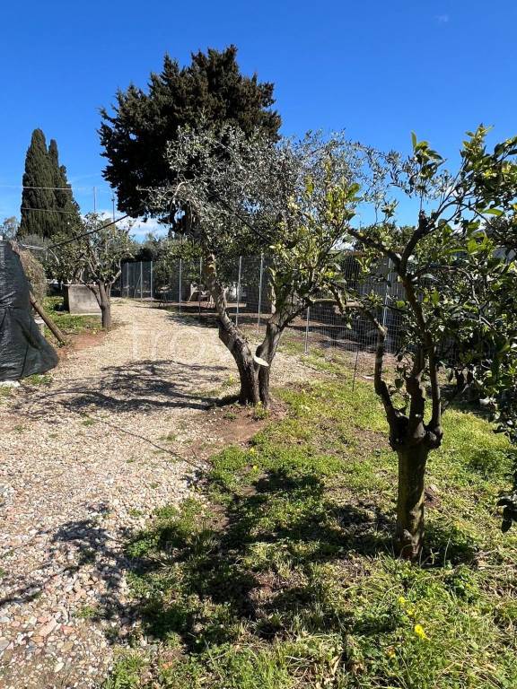 immagine annuncio 9 di 13