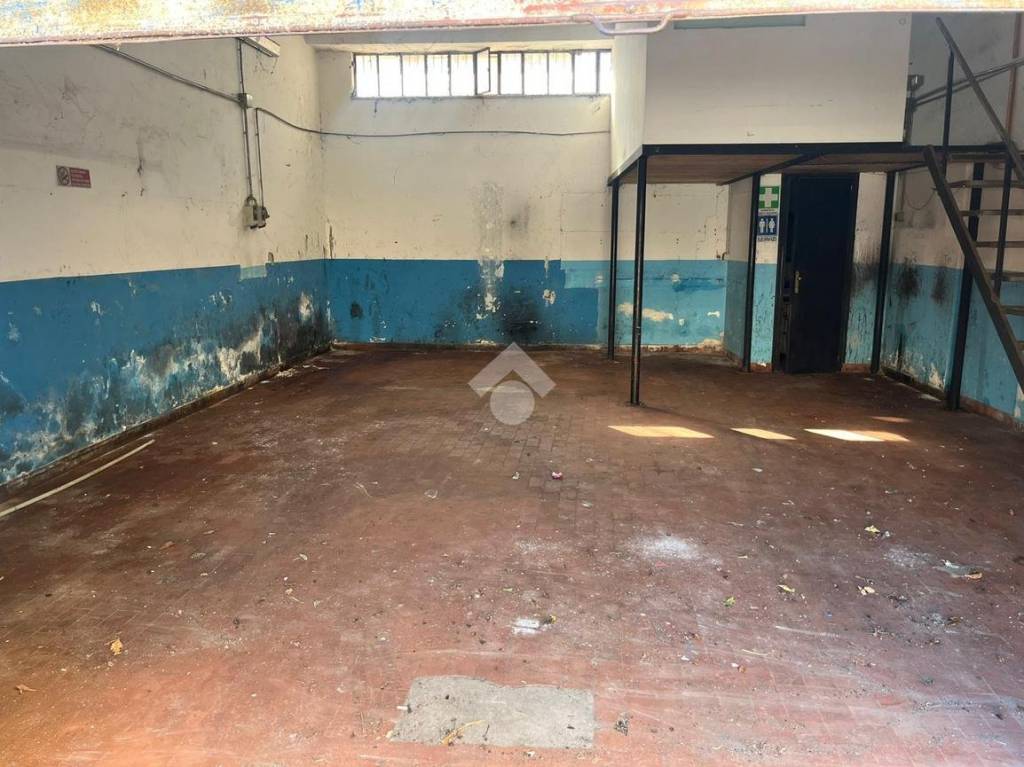 immagine annuncio 1 di 6