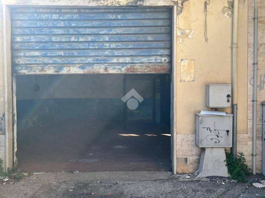 immagine annuncio 4 di 6