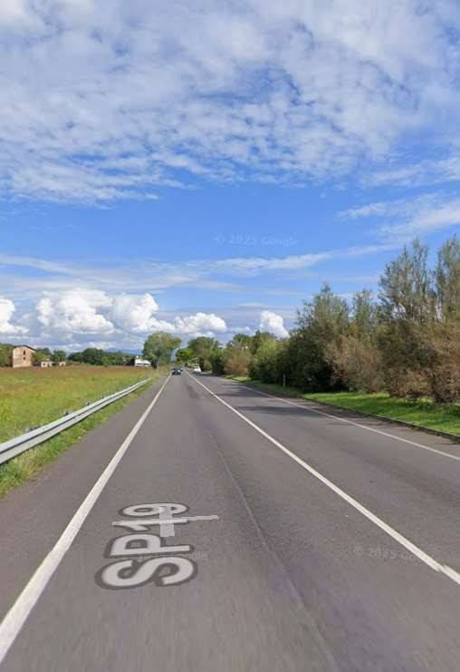 immagine annuncio 3 di 8