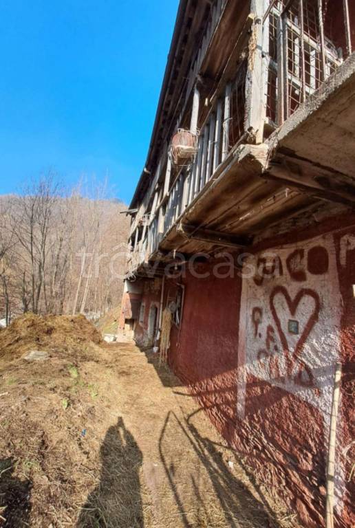 immagine annuncio 6 di 12