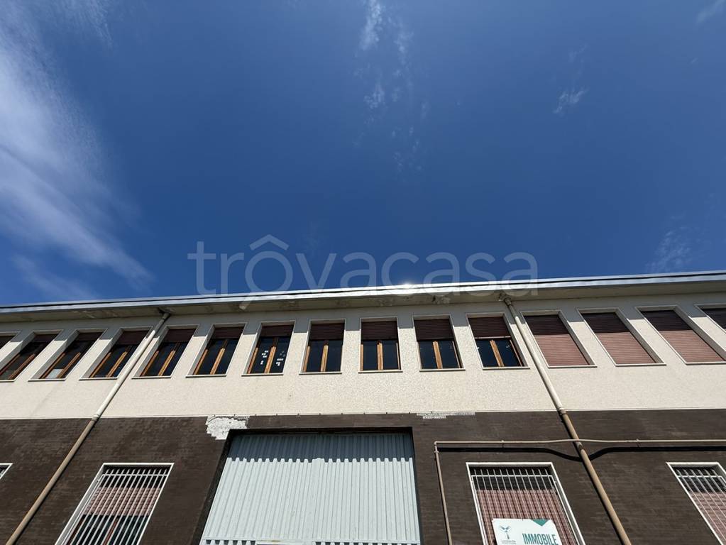 immagine annuncio 2 di 14