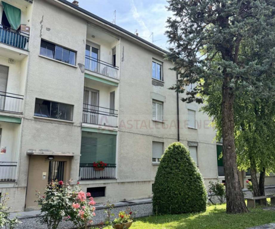 immagine annuncio 10 di 11