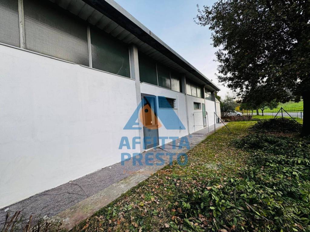 immagine annuncio 4 di 6