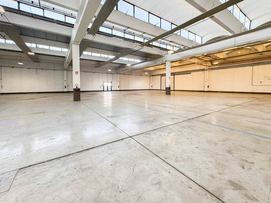 immagine annuncio 9 di 15