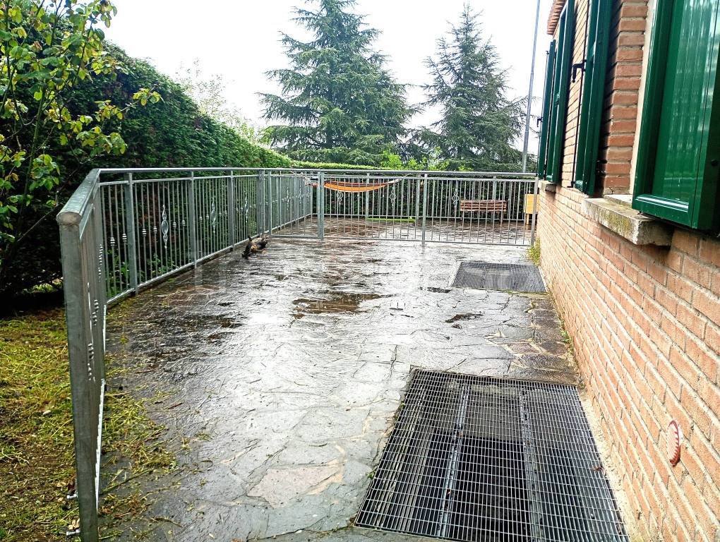 immagine annuncio 7 di 8