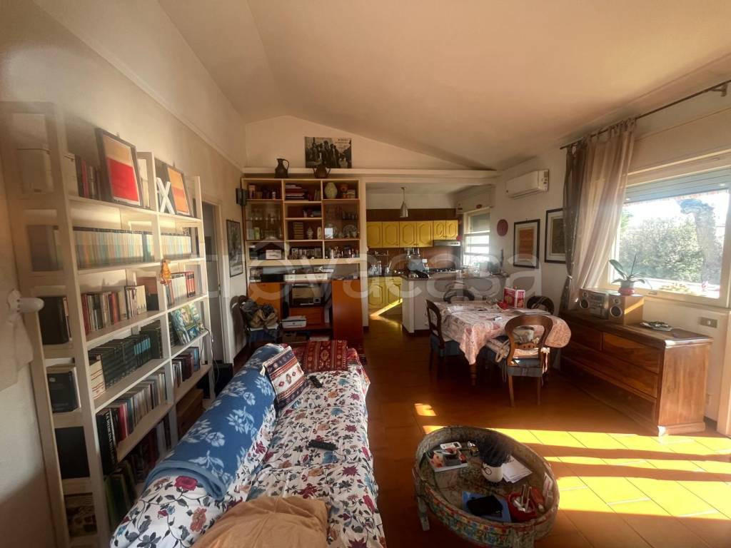 immagine annuncio 6 di 14