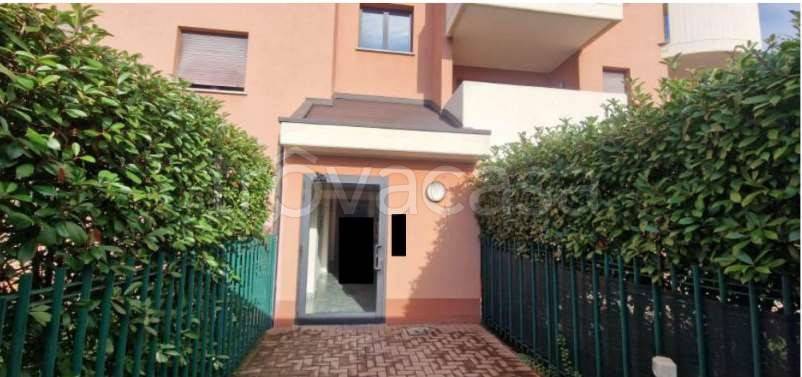 immagine annuncio 5 di 14