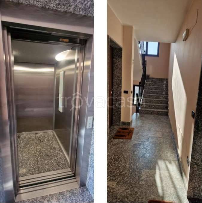 immagine annuncio 6 di 14