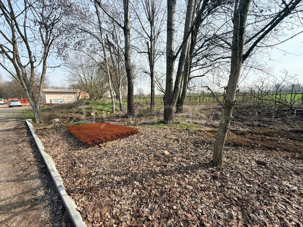 immagine annuncio 13 di 15