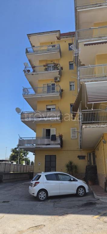 immagine annuncio 2 di 8