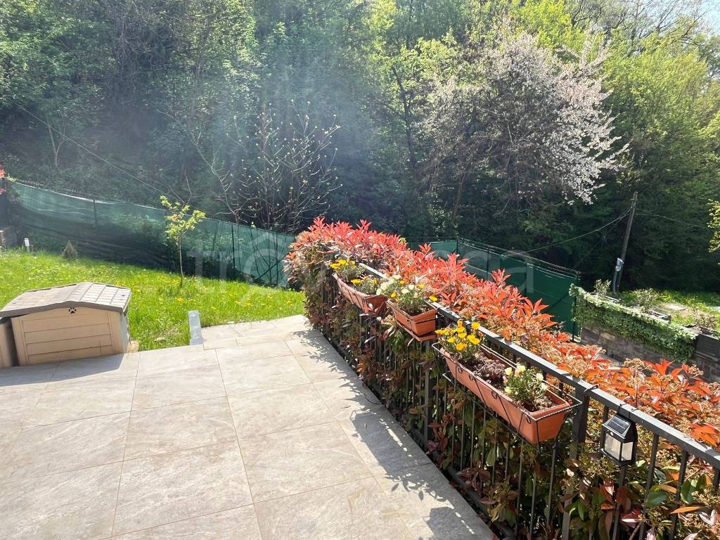 immagine annuncio 11 di 15