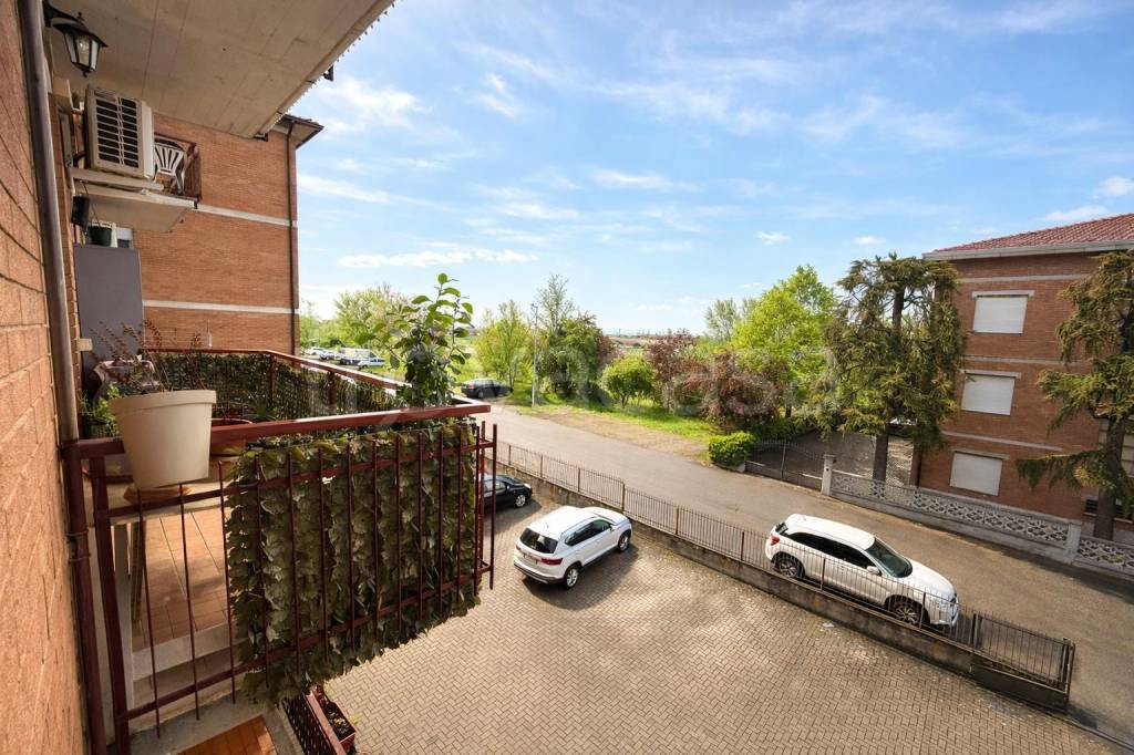 immagine annuncio 1 di 14