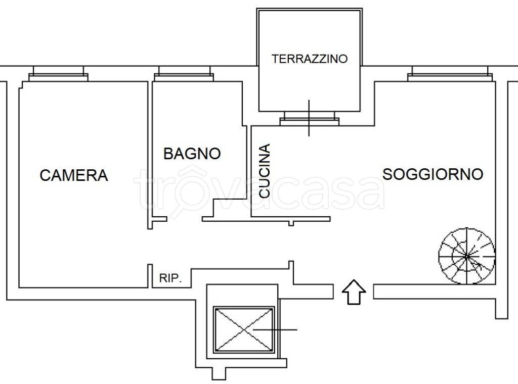 immagine annuncio 5 di 15