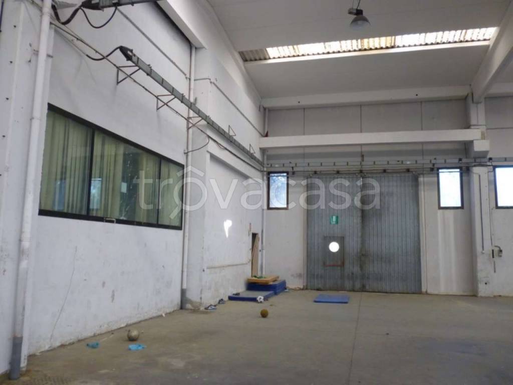 immagine annuncio 4 di 13