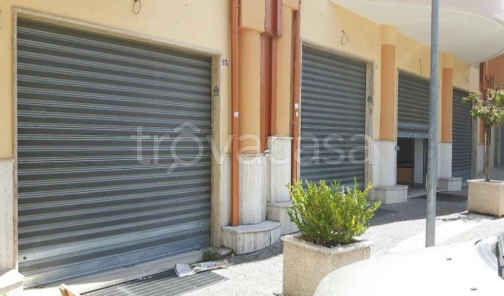 immagine annuncio 4 di 14