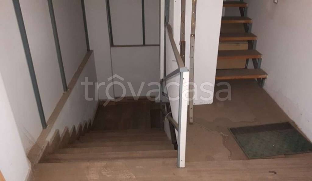 immagine annuncio 10 di 14