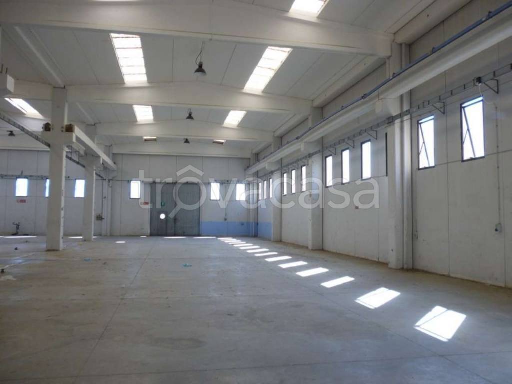 immagine annuncio 11 di 13