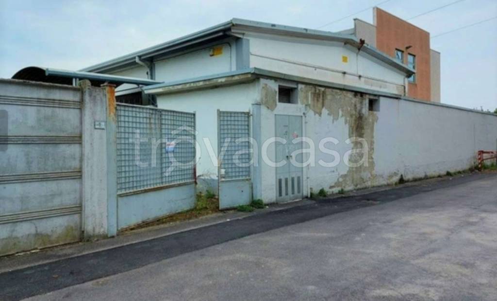 immagine annuncio 1 di 11