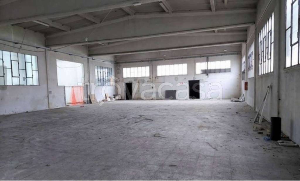 immagine annuncio 2 di 11