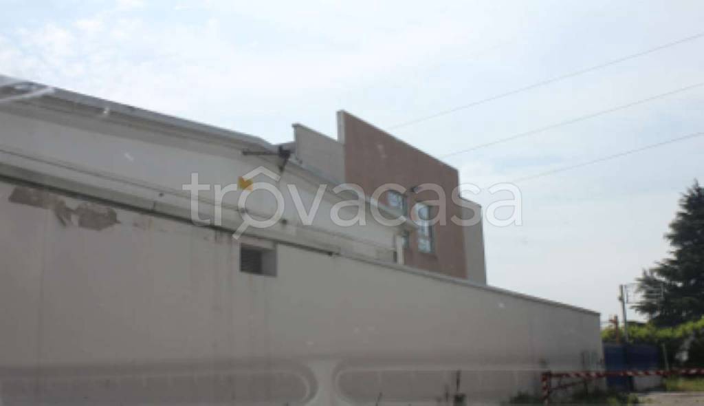 immagine annuncio 5 di 11