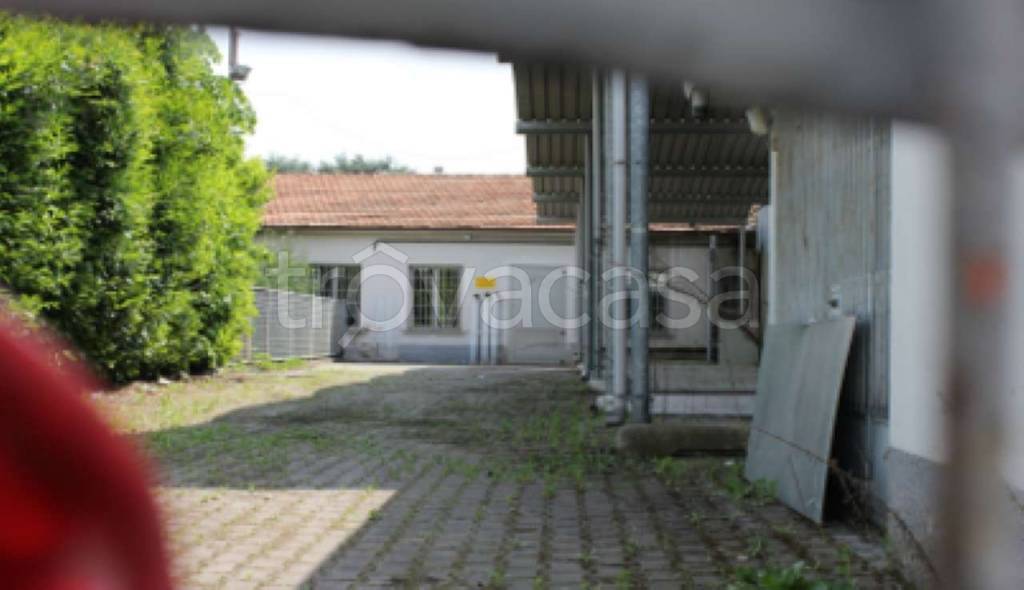 immagine annuncio 6 di 11