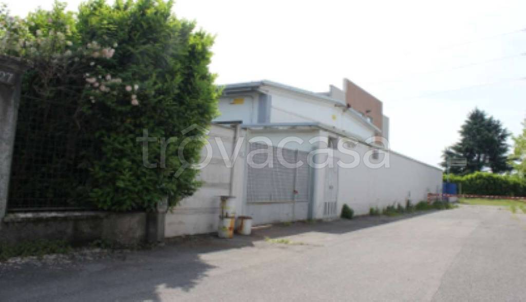 immagine annuncio 7 di 11