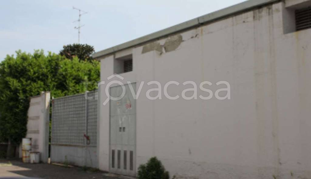 immagine annuncio 8 di 11