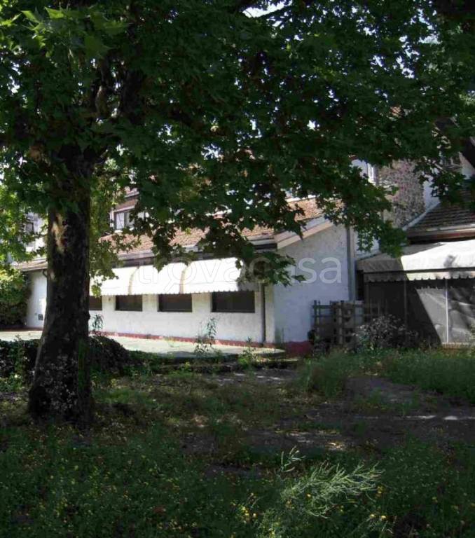 immagine annuncio 6 di 14