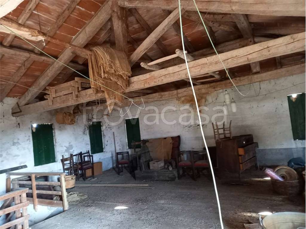 immagine annuncio 3 di 7