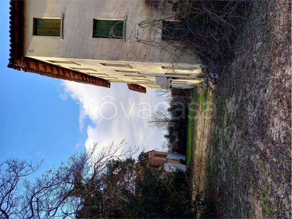 immagine annuncio 4 di 7