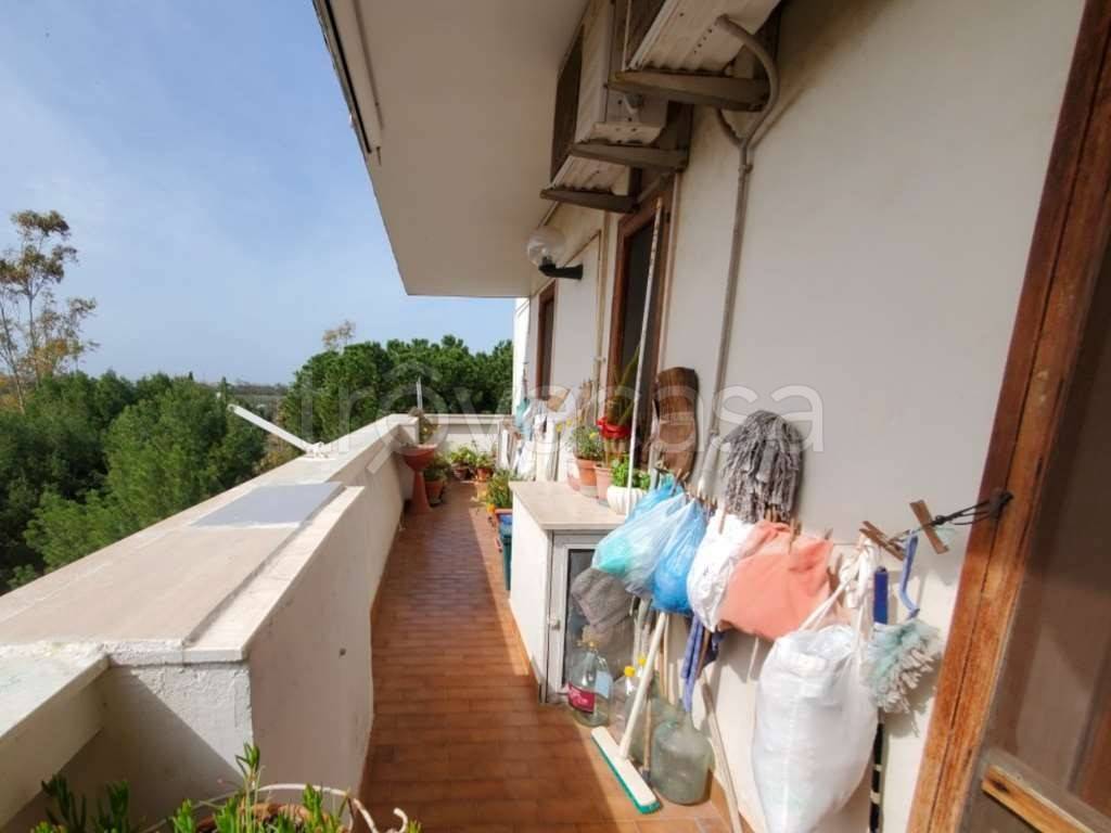 immagine annuncio 9 di 14