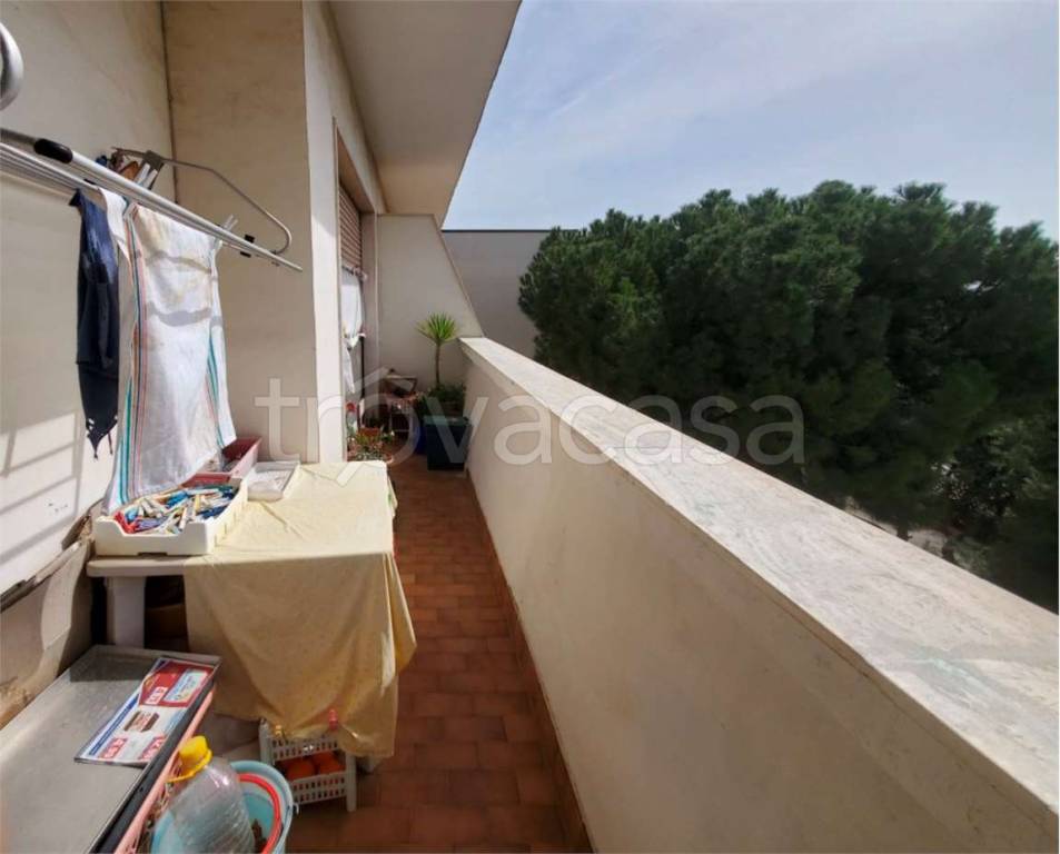 immagine annuncio 10 di 14