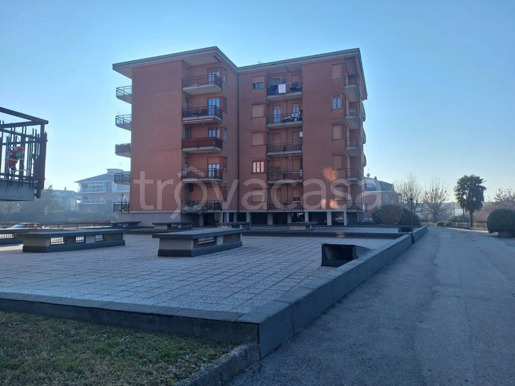 immagine annuncio 11 di 15