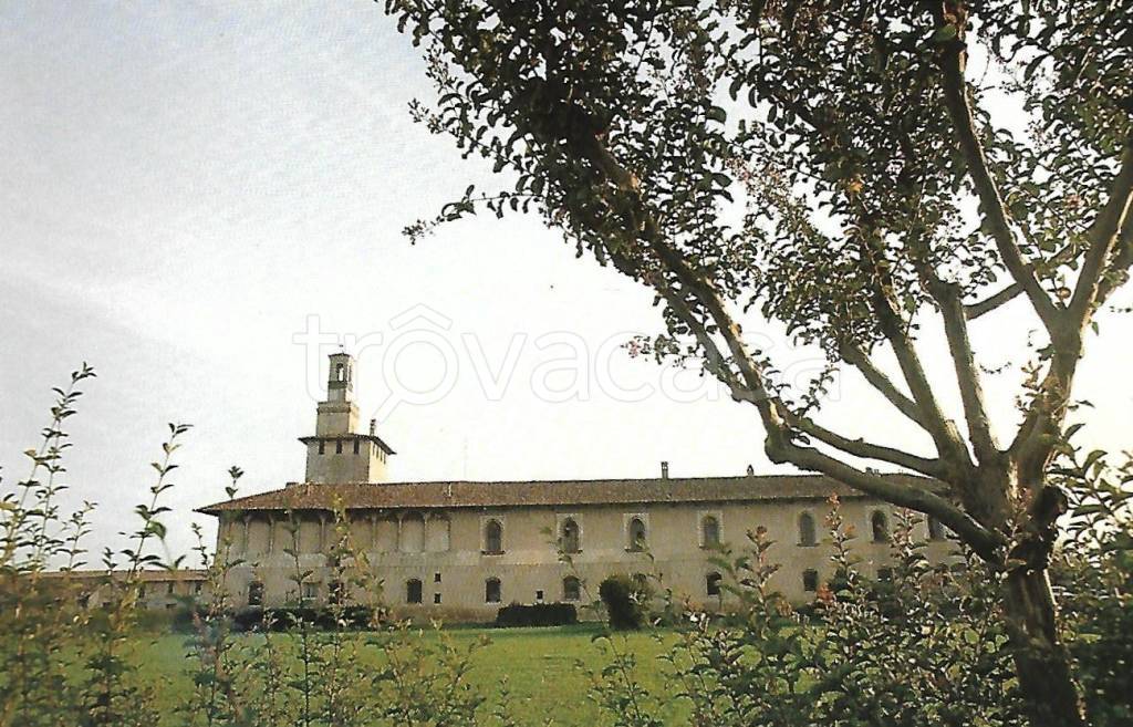 immagine annuncio 6 di 15