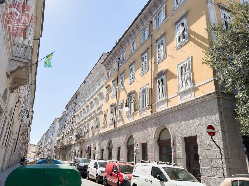 immagine annuncio 6 di 12