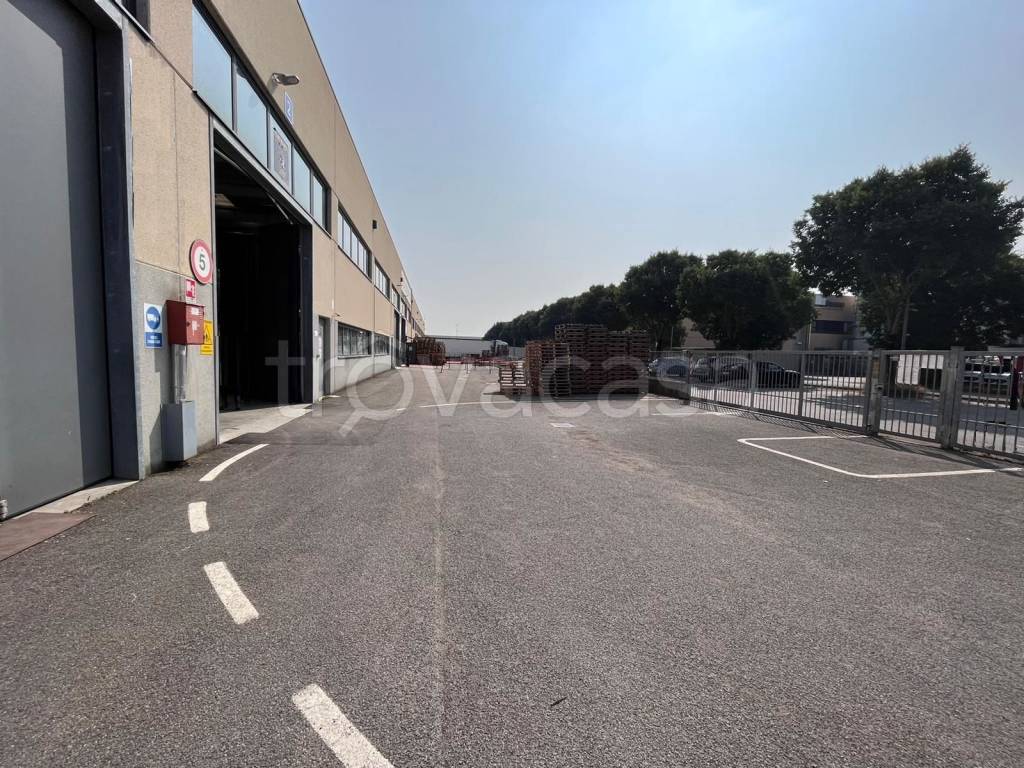 immagine annuncio 9 di 15