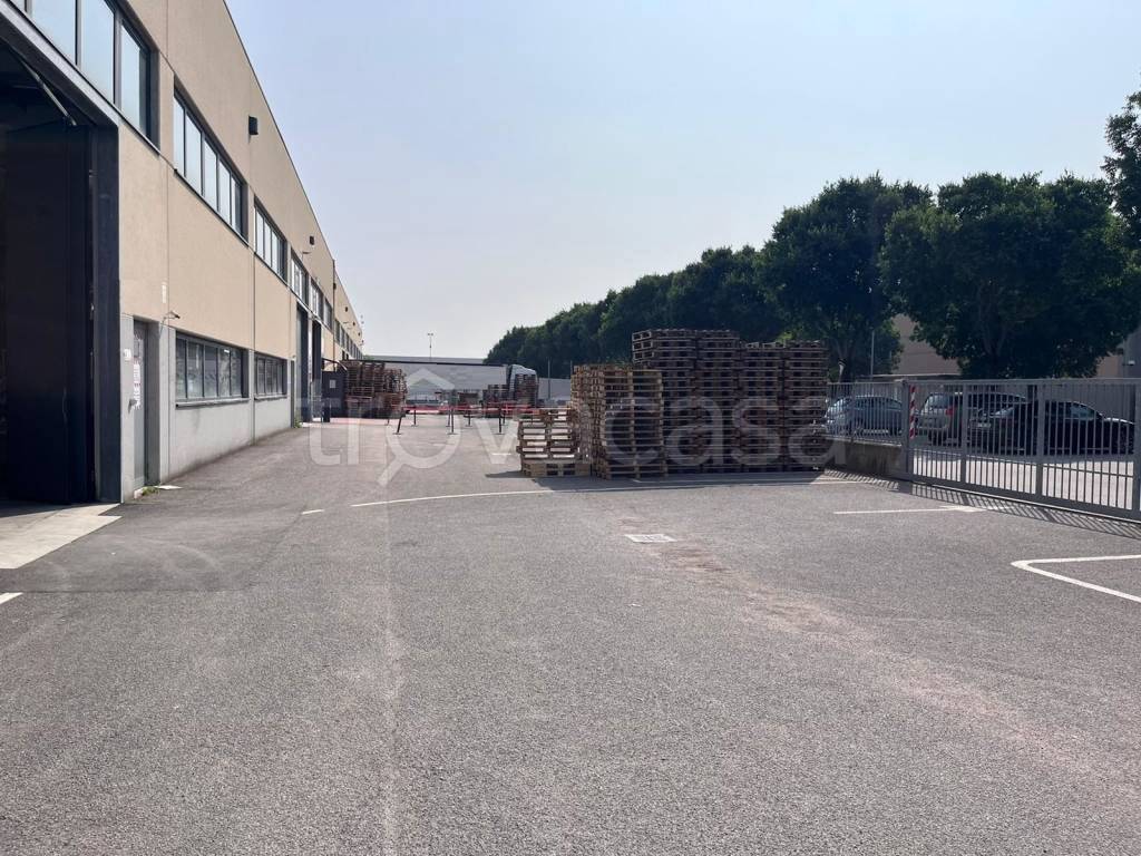 immagine annuncio 10 di 15