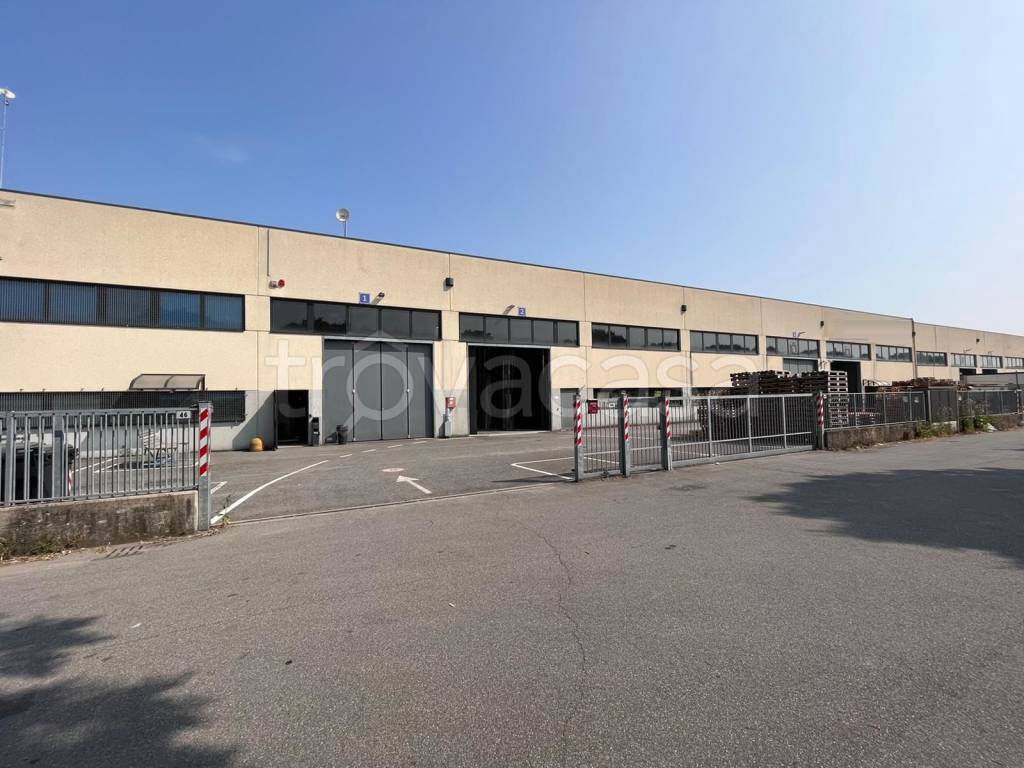 immagine annuncio 11 di 15