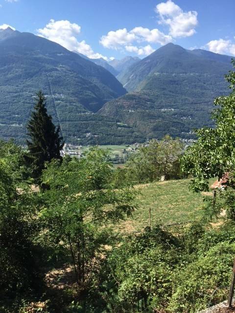 immagine annuncio 1 di 3