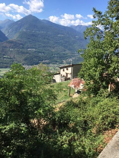 immagine annuncio 2 di 3