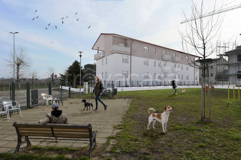 immagine annuncio 1 di 4