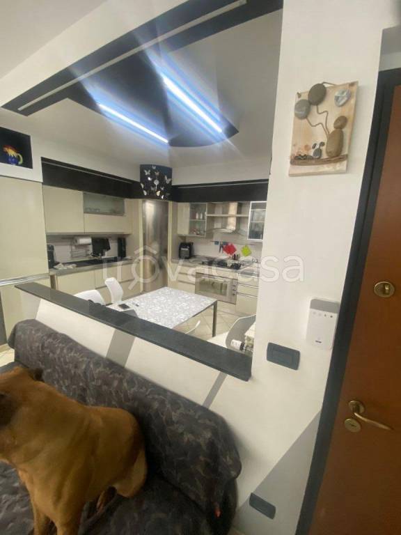 immagine annuncio 3 di 7