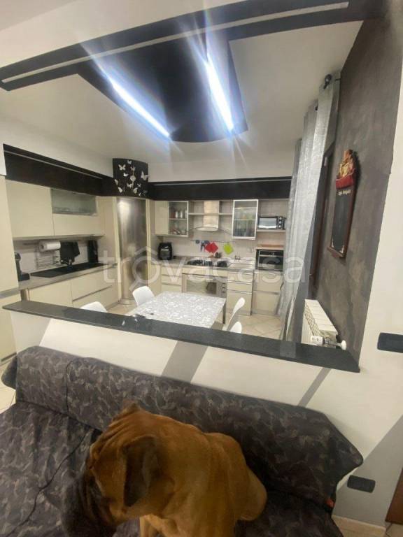 immagine annuncio 4 di 7