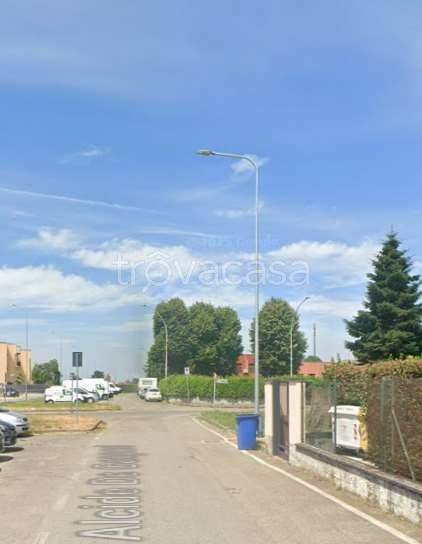 immagine annuncio 5 di 8