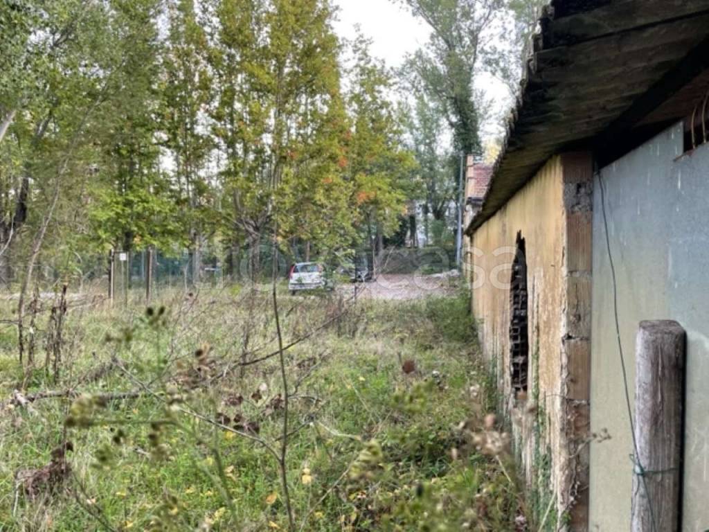 immagine annuncio 2 di 14